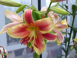 Foto: Dr. Peter Müller